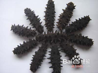 干海参的挑选方法及技巧