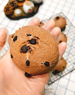 越嚼越好吃的恐龙蛋