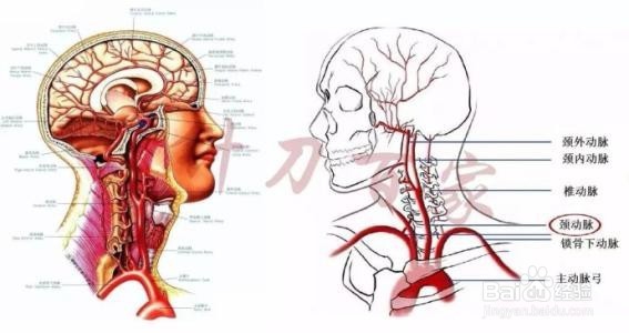 交感神经型颈椎病的症状与治疗