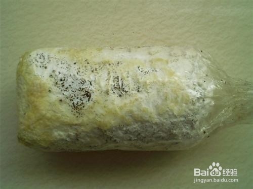 怎样在室内种植蘑菇