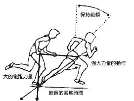 蹲踞式起跑教学