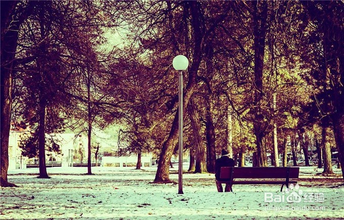 扪心自问自己真的学会孤独生活了吗？