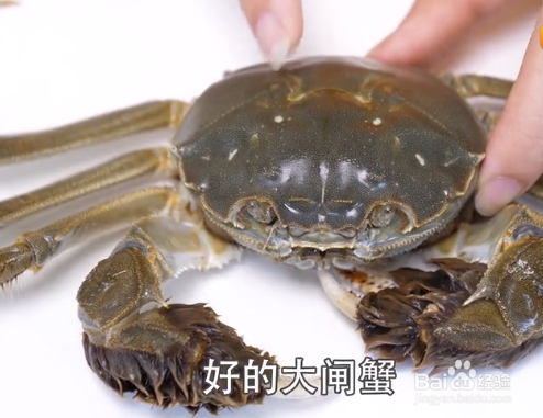 如何挑选大闸蟹才是最新鲜的？