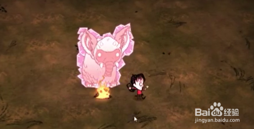 饥荒：火药信号弹鞭炮等说明。