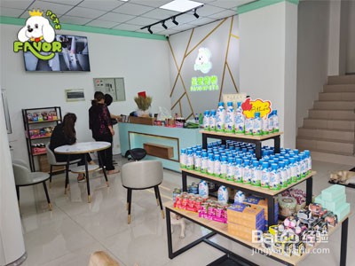 开一家宠物店的收入怎么样