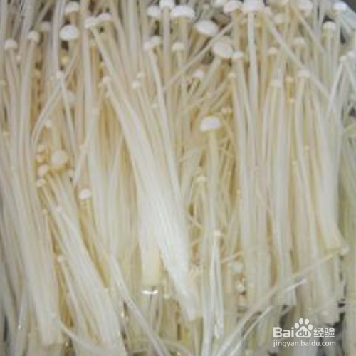 常温下金针菇怎么保存