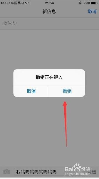 iPhone手机晃动就可以撤销输入错误的文字