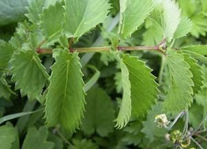 你真的懂养生吗？