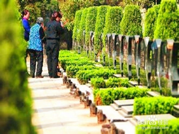 清明扫墓，环保出游