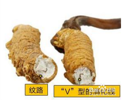 冬虫夏草怎么食用 冬虫夏草的吃法技巧