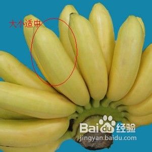 如何挑选帝王蕉