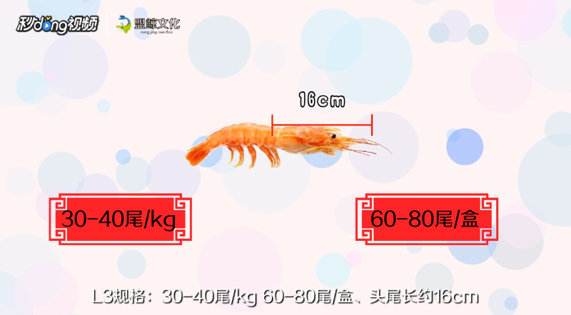 阿根廷红虾L1和L2区别是什么