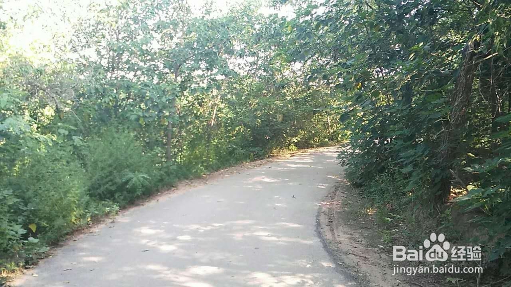 临清寻古——运河遗迹知多少