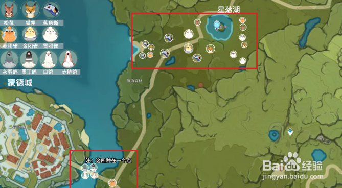 原神小动物分布位置大全