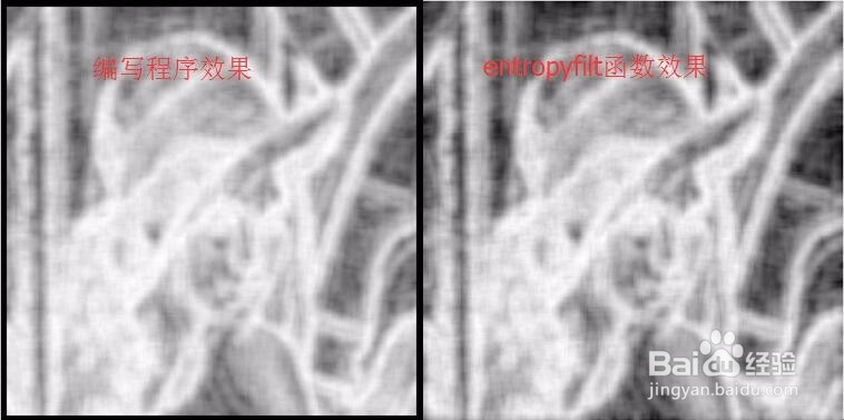 视觉图像:熵计算-全局熵 vs 局部熵