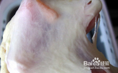 香气浓郁的香橙面包怎么做