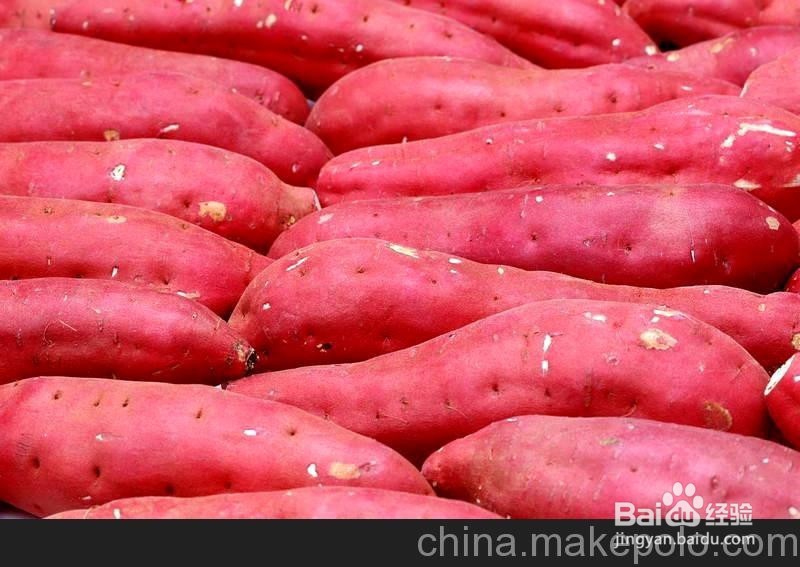 吃什么对身体最好