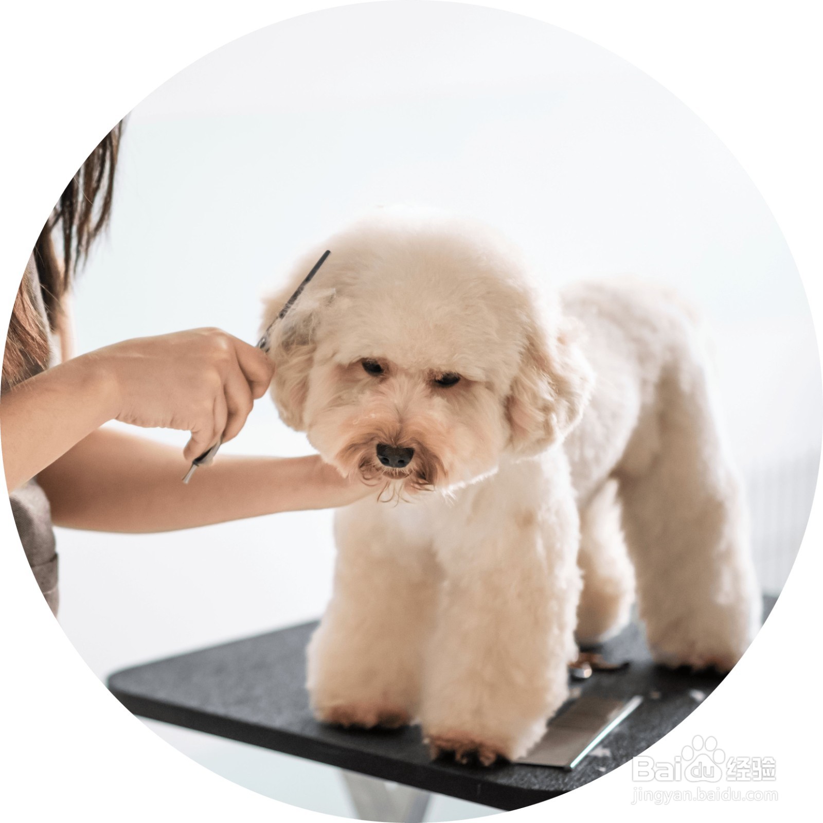 照片一键变圆形 让你的朋友圈更有意思！