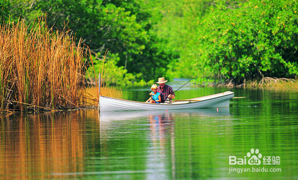 快速学习划船。