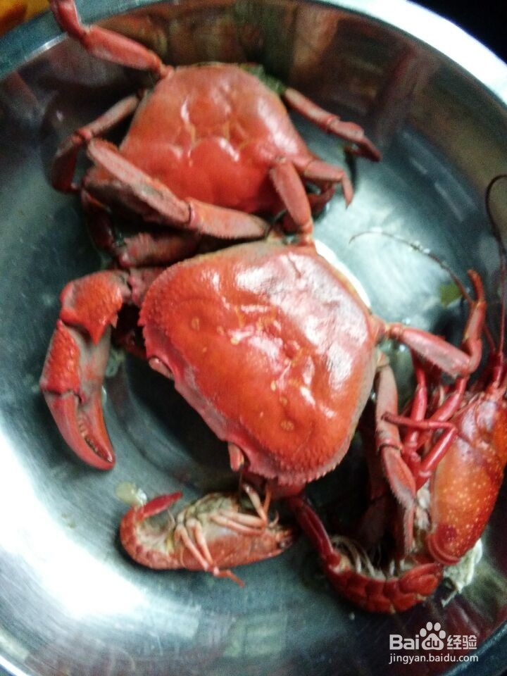 包食珠珠钓法技巧