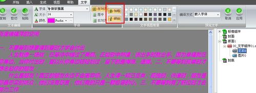 电子杂志Iebook超级精灵2011最新版文字模板编辑