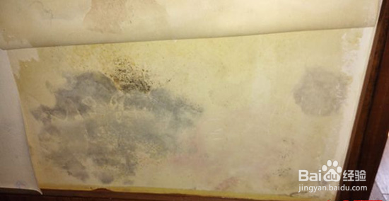 怎样进行墙面处理之墙基膜