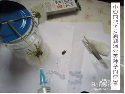 自己动手DIY一个蒲公英透明树脂，好漂亮！