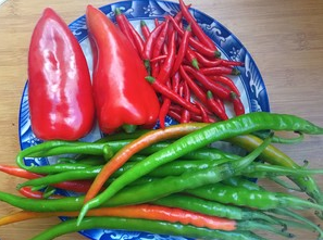 二十年自制辣椒酱配方