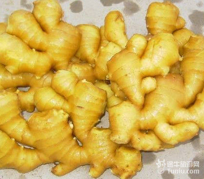 春节旅游去四川乐山特产推荐