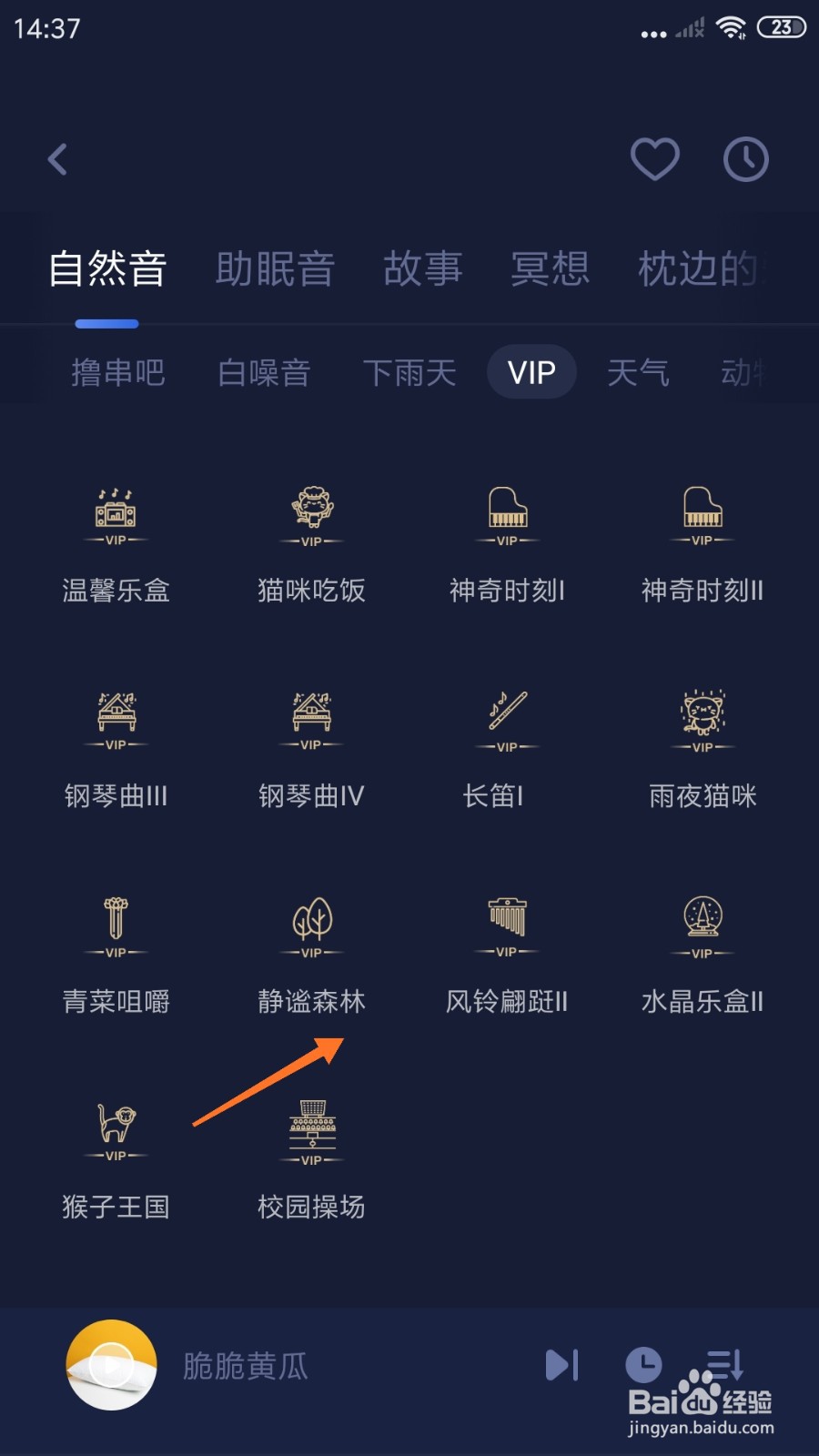 蜗牛睡眠中怎么播放静谧森林
