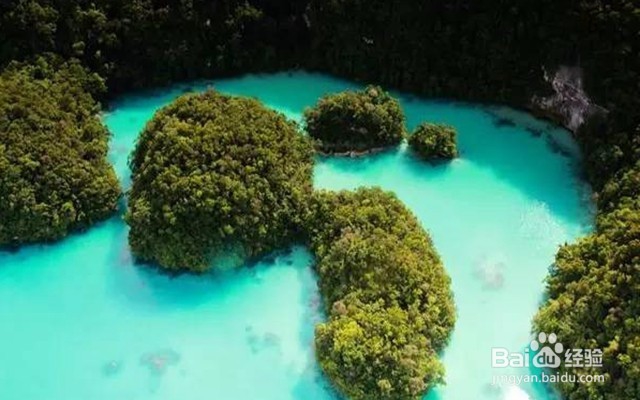 十一免签的高性价比海岛——帕劳旅游攻略