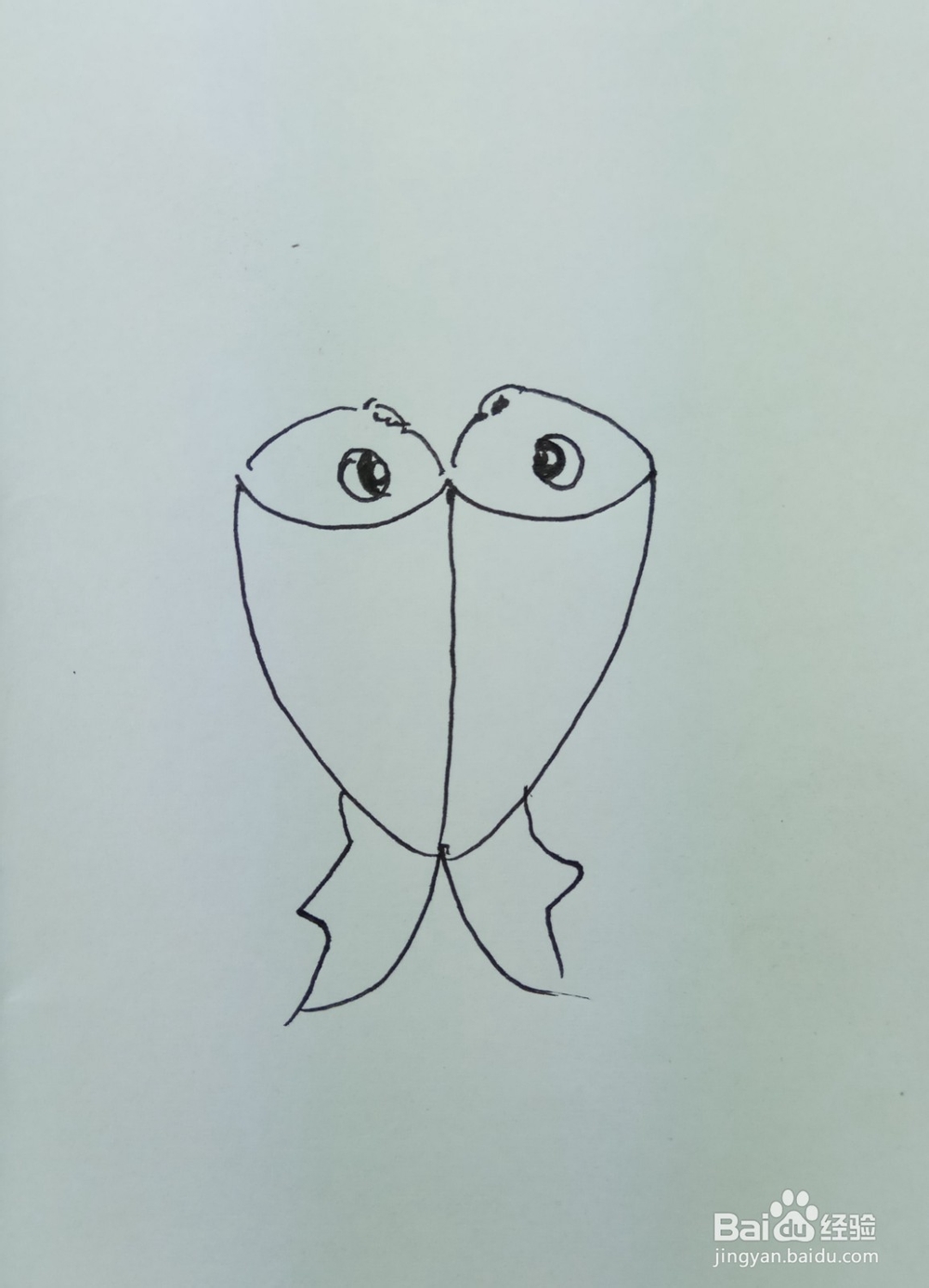 怎样画简笔画两只鱼?