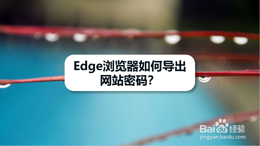 Edge浏览器如何导出网站密码