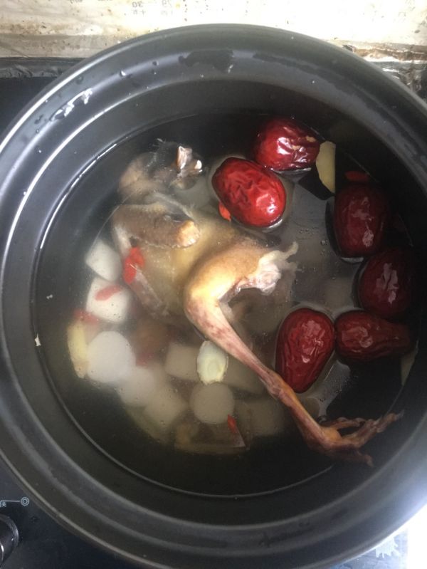 西洋参滋补养生鸽子汤