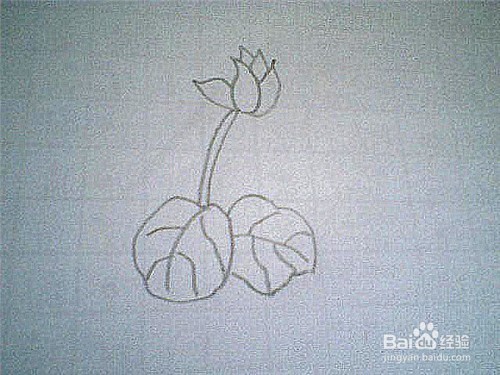 简笔画仙鹤来这样画