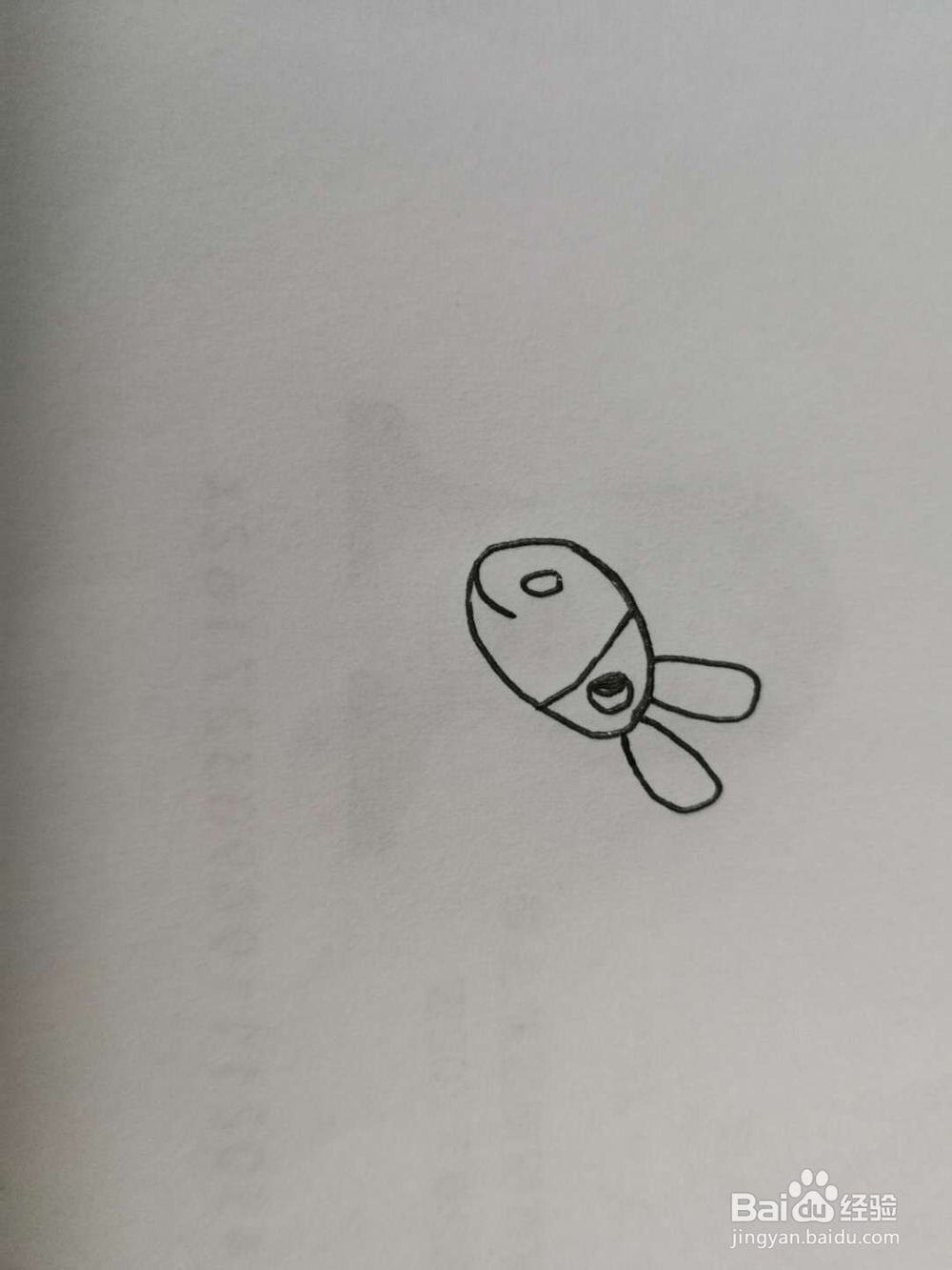 简笔画得意的小毛驴