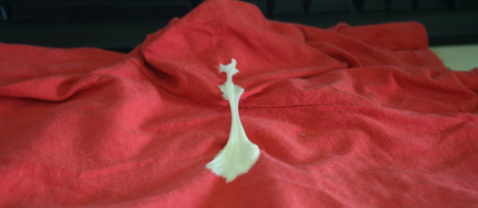 泡泡糖怎么洗的下来