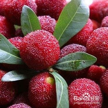 你天天吃水果,但是你敢保证你会洗水果吗