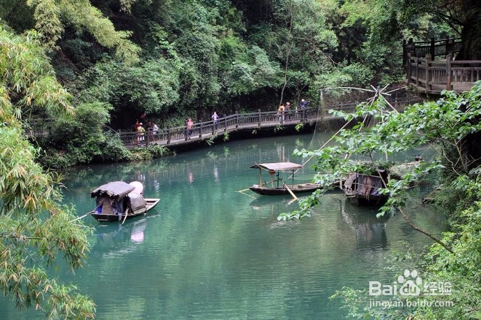 三峡游船哪个最好