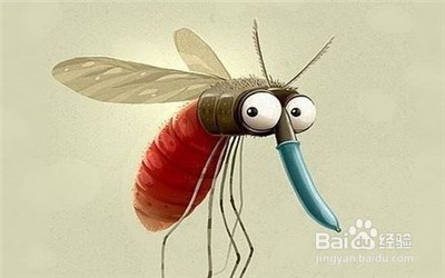 蚊子如何找到人