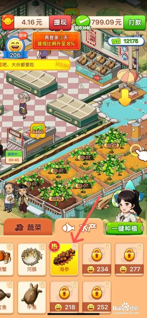向往的小农院如何在鱼塘里养殖海参
