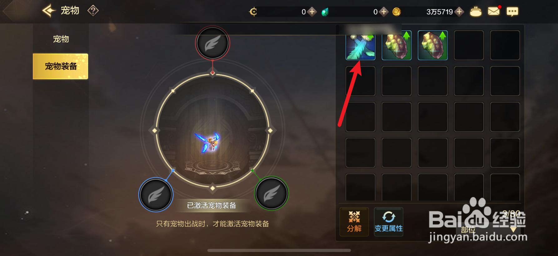 DNF手游宠物装备在哪里