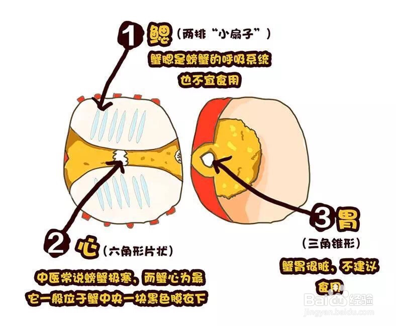 小孩子超喜欢的清蒸大闸蟹