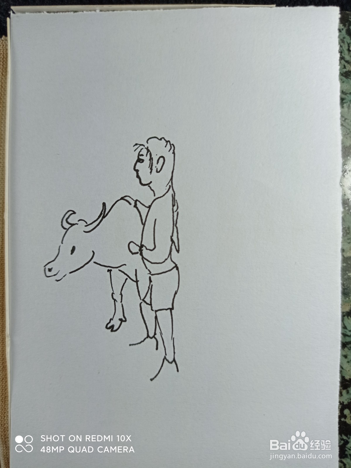 怎样画简笔画牵着牛的女孩?