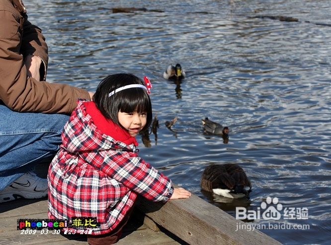 温哥华的如画春天(组图)