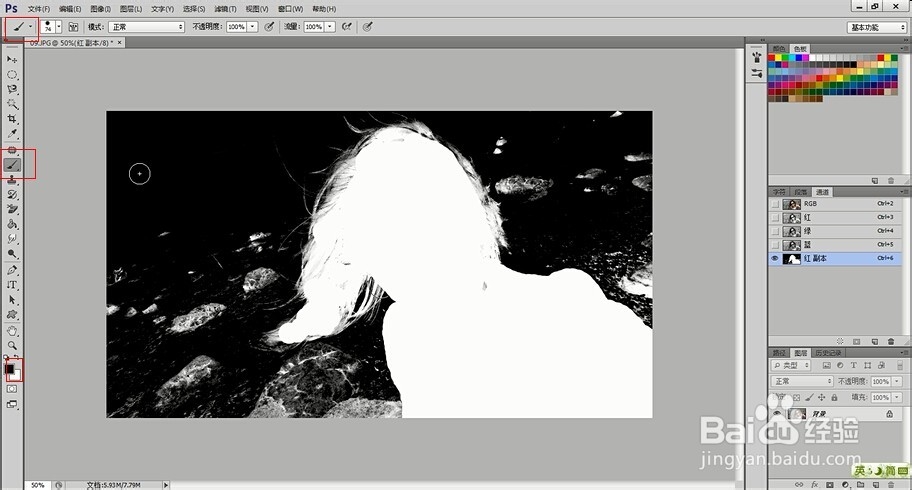 PS技术教程：[10]PS怎么抠图之抠取头发