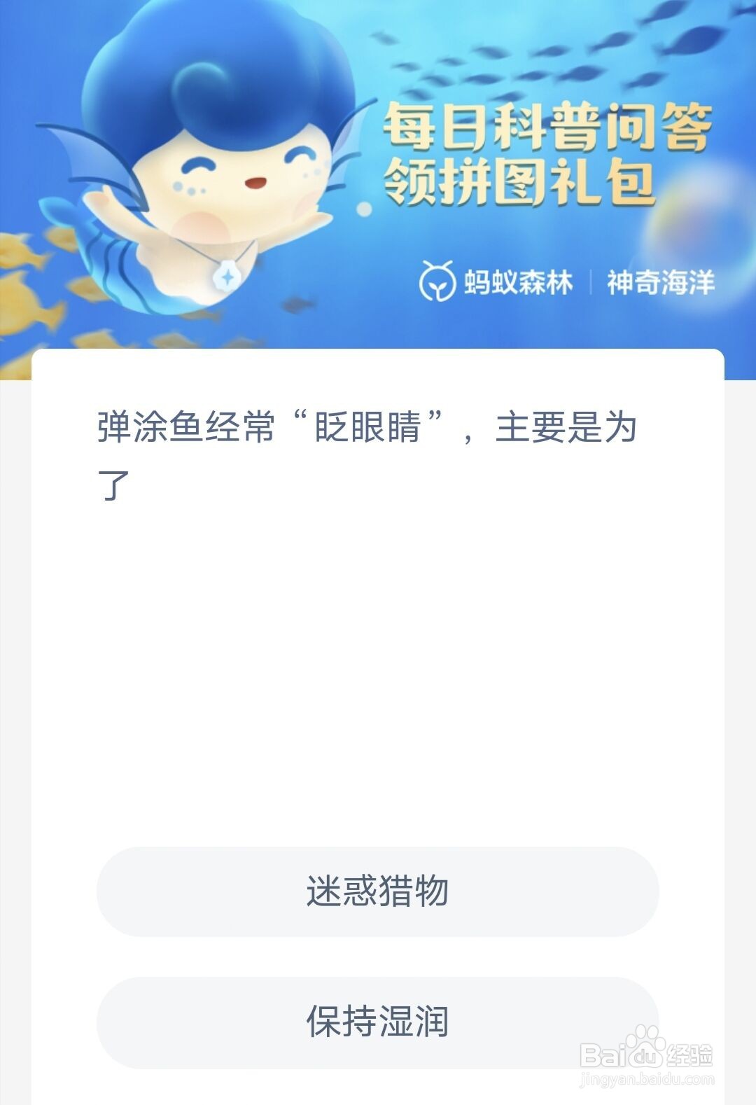 弹涂鱼经常眨眼睛,主要是为了