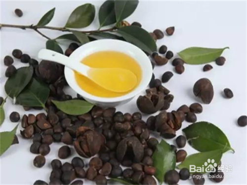 山茶籽油的功效与作用及食用方法