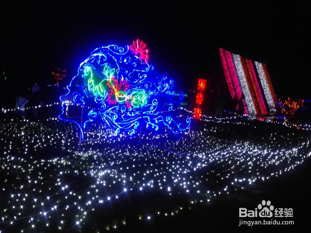 襄阳鱼梁洲薰衣草庄园游玩