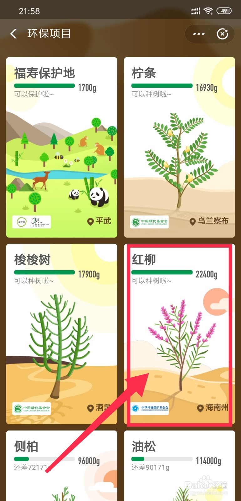 支付宝蚂蚁森林怎么申请种树